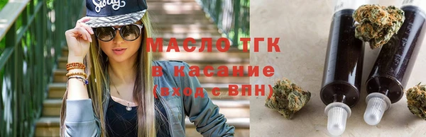 прущая мука Вяземский