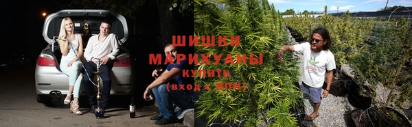 прущая мука Вяземский
