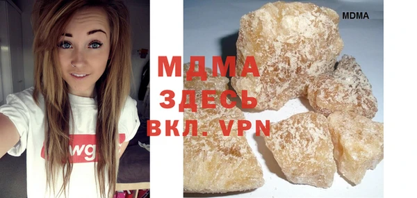 индика Снежногорск