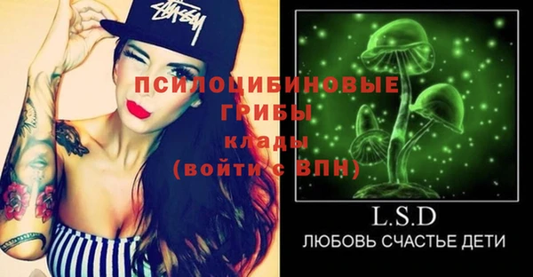 индика Снежногорск