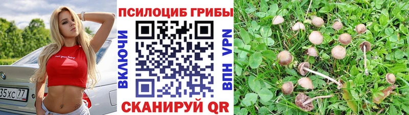Галлюциногенные грибы ЛСД  Островной 